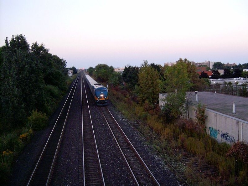 train006