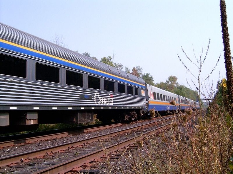 train008